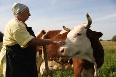 Photo of Senior woman with beautiful cow on pasture