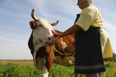 Photo of Senior woman with beautiful cow on pasture