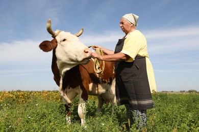 Photo of Senior woman with beautiful cow on pasture