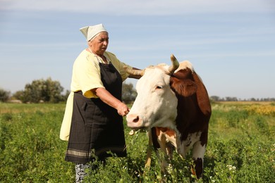 Photo of Senior woman with beautiful cow on pasture