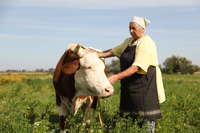 Photo of Senior woman with beautiful cow on pasture