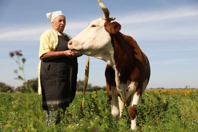 Photo of Senior woman with beautiful cow on pasture