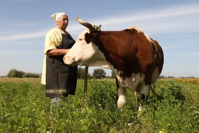 Photo of Senior woman with beautiful cow on pasture