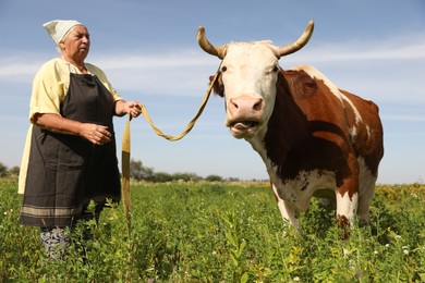 Photo of Senior woman with beautiful cow on pasture