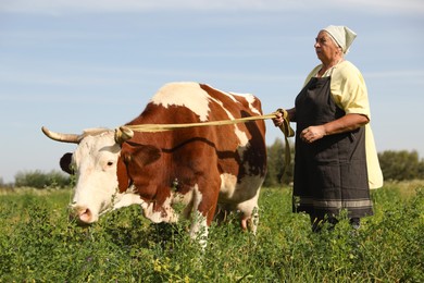 Photo of Senior woman with beautiful cow on pasture