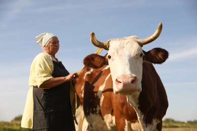 Photo of Senior woman with beautiful cow under blue sky, selective focus