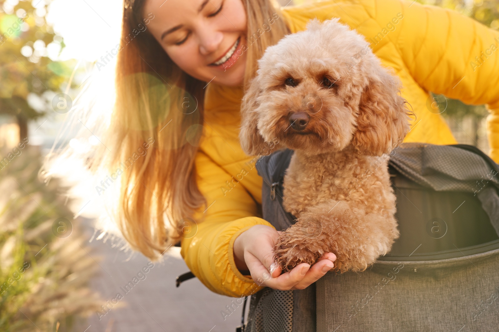 Photo of Woman with cute Toy Poodle dog outdoors on sunny day