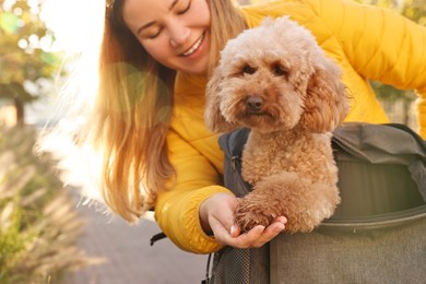 Woman with cute Toy Poodle dog outdoors on sunny day