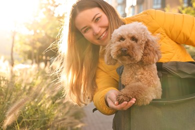 Woman with cute Toy Poodle dog outdoors on sunny day