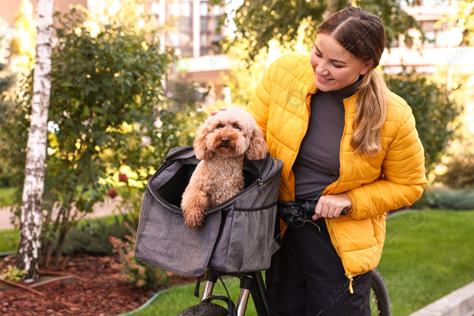 Photo of Woman with bicycle and cute Toy Poodle dog in pet carrier outdoors