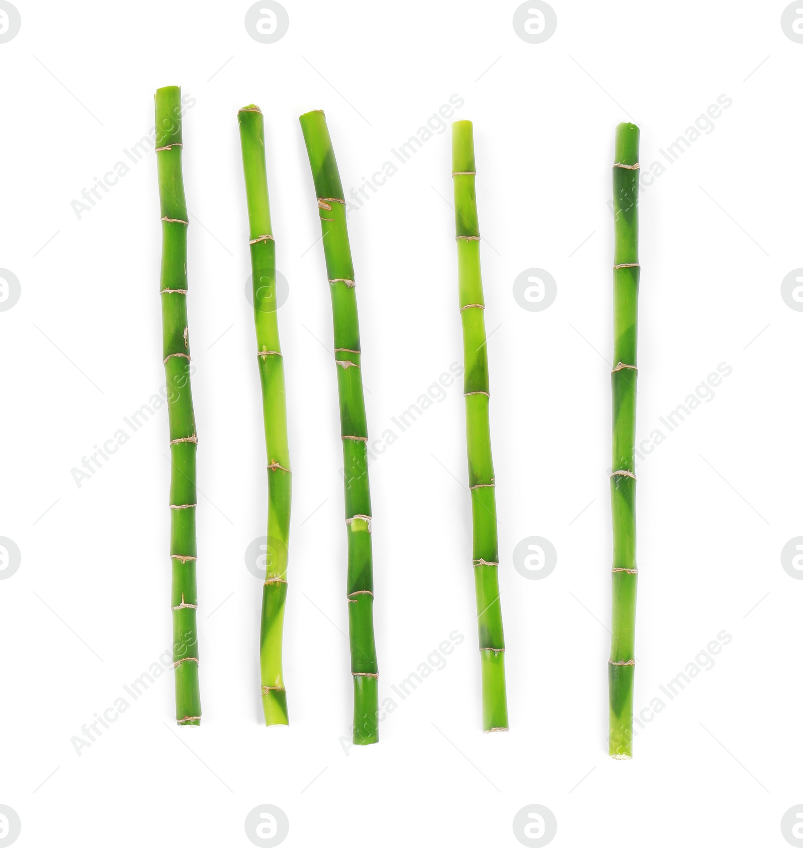 Photo of Stems of decorative bamboo plant isolated on white, top view