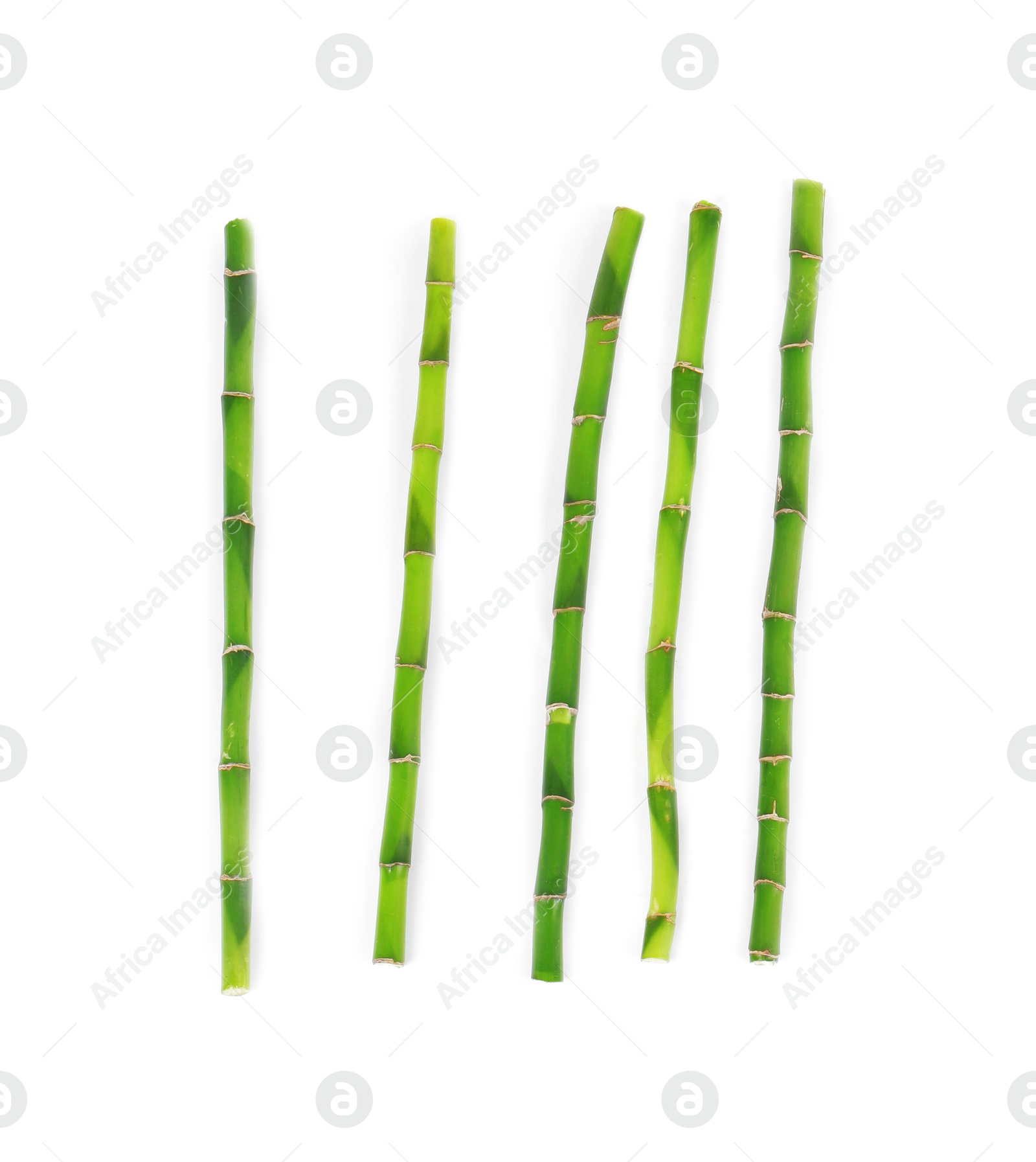 Photo of Stems of decorative bamboo plant isolated on white, top view