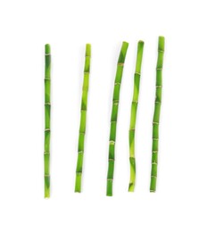 Photo of Stems of decorative bamboo plant isolated on white, top view