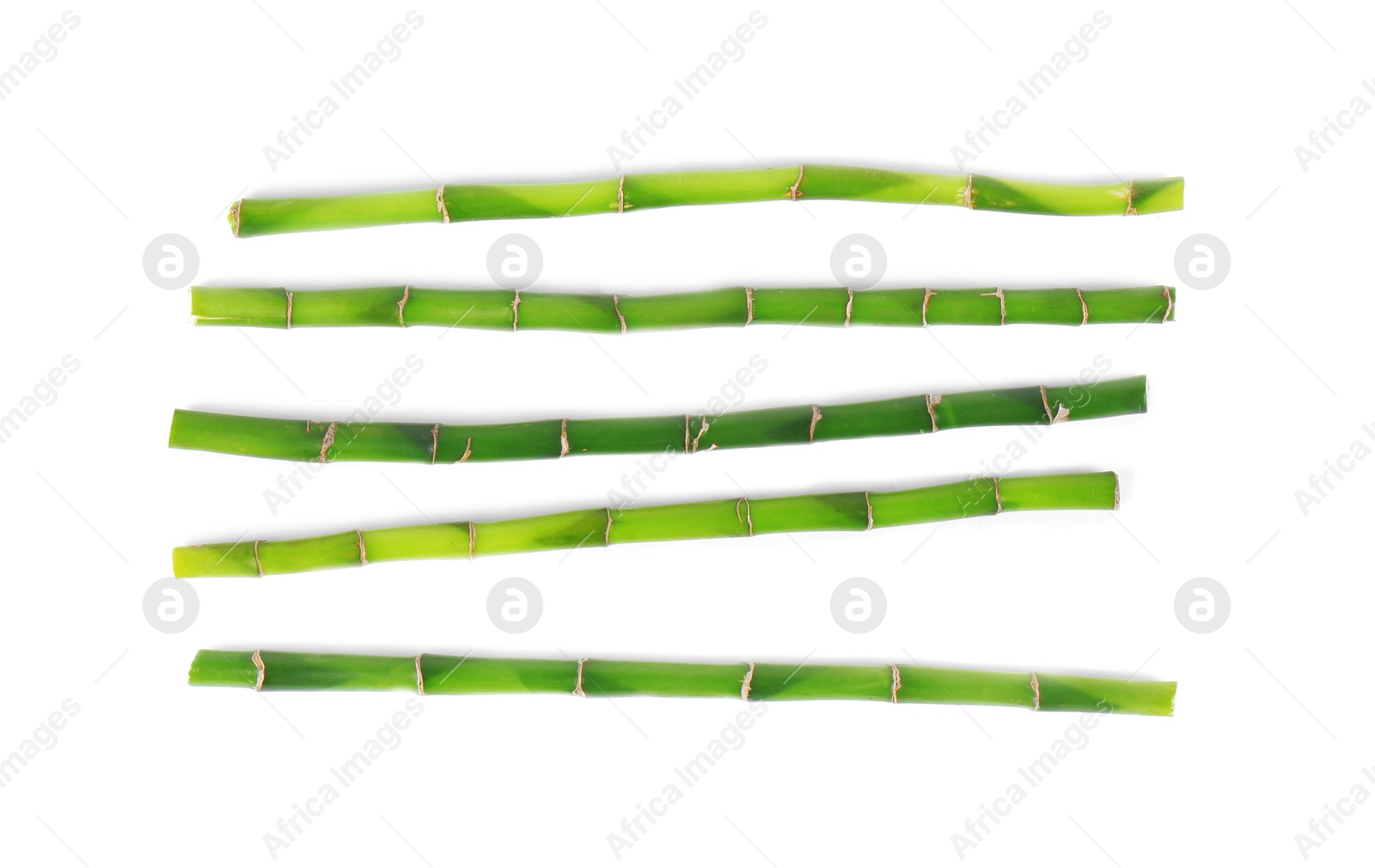 Photo of Stems of decorative bamboo plant isolated on white, top view