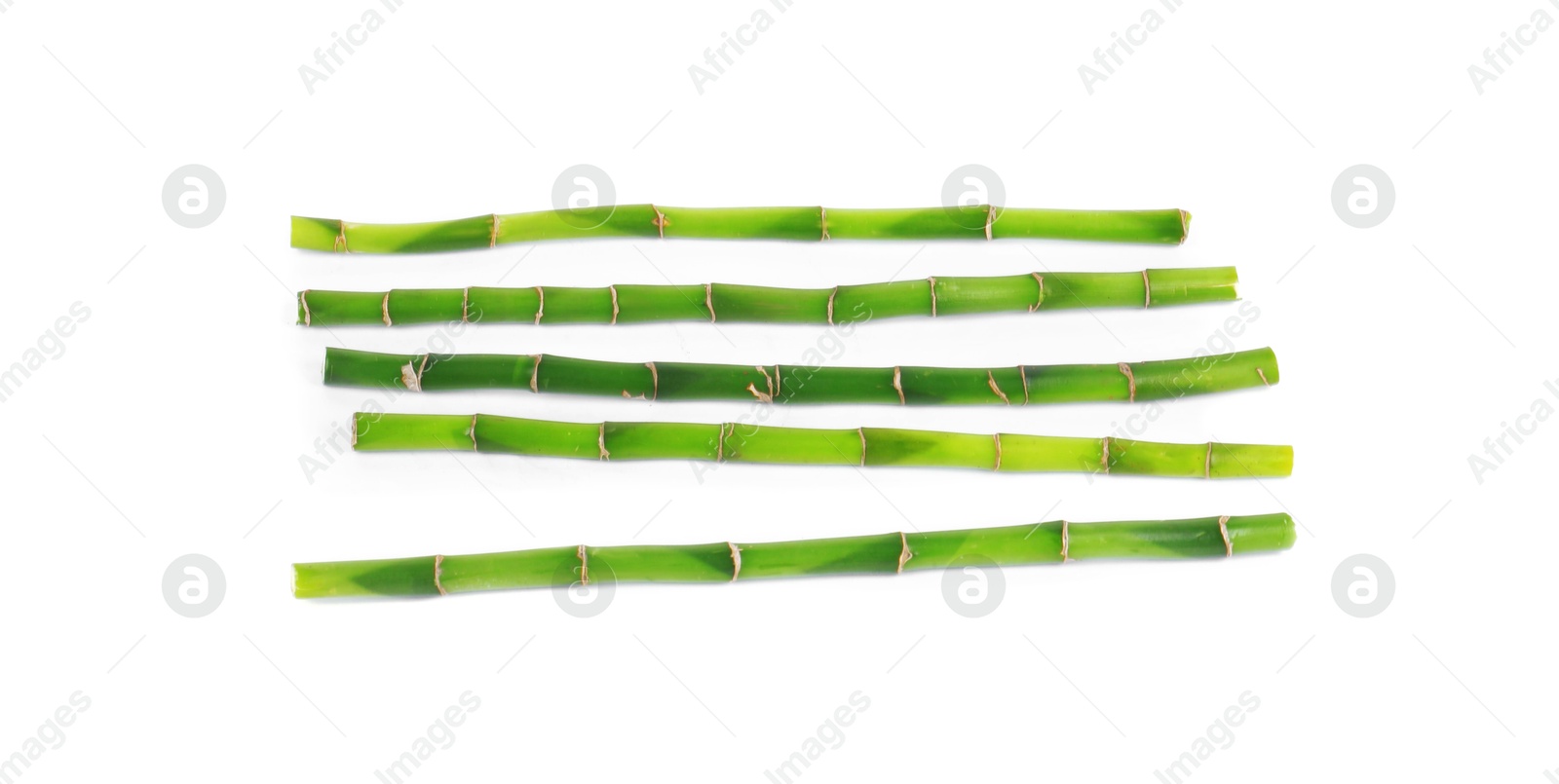 Photo of Stems of decorative bamboo plant isolated on white, top view