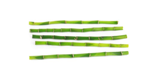 Photo of Stems of decorative bamboo plant isolated on white, top view