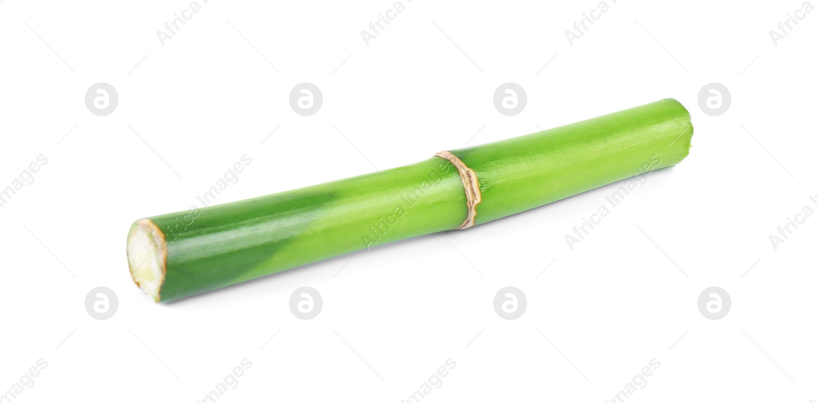 Photo of Piece of decorative bamboo plant isolated on white