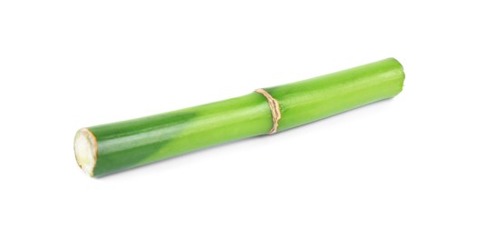 Photo of Piece of decorative bamboo plant isolated on white