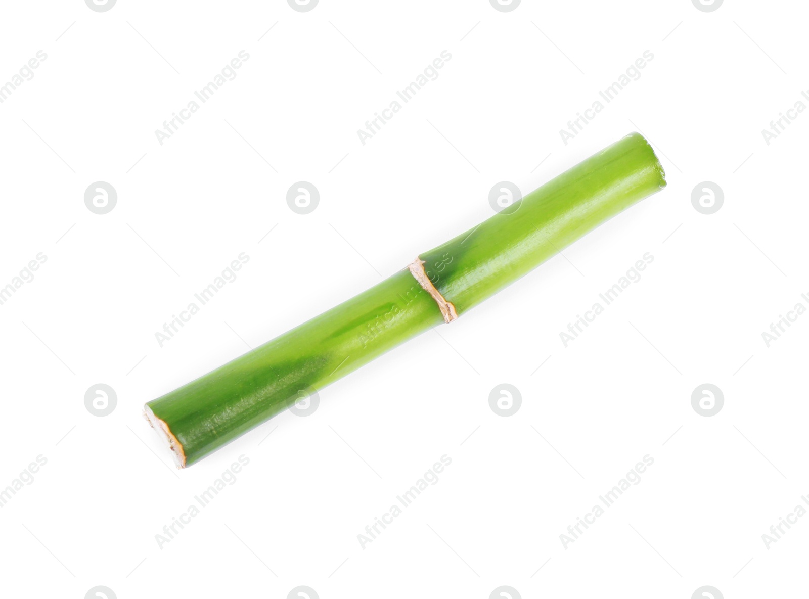 Photo of Piece of decorative bamboo plant isolated on white, top view