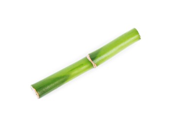 Piece of decorative bamboo plant isolated on white, top view