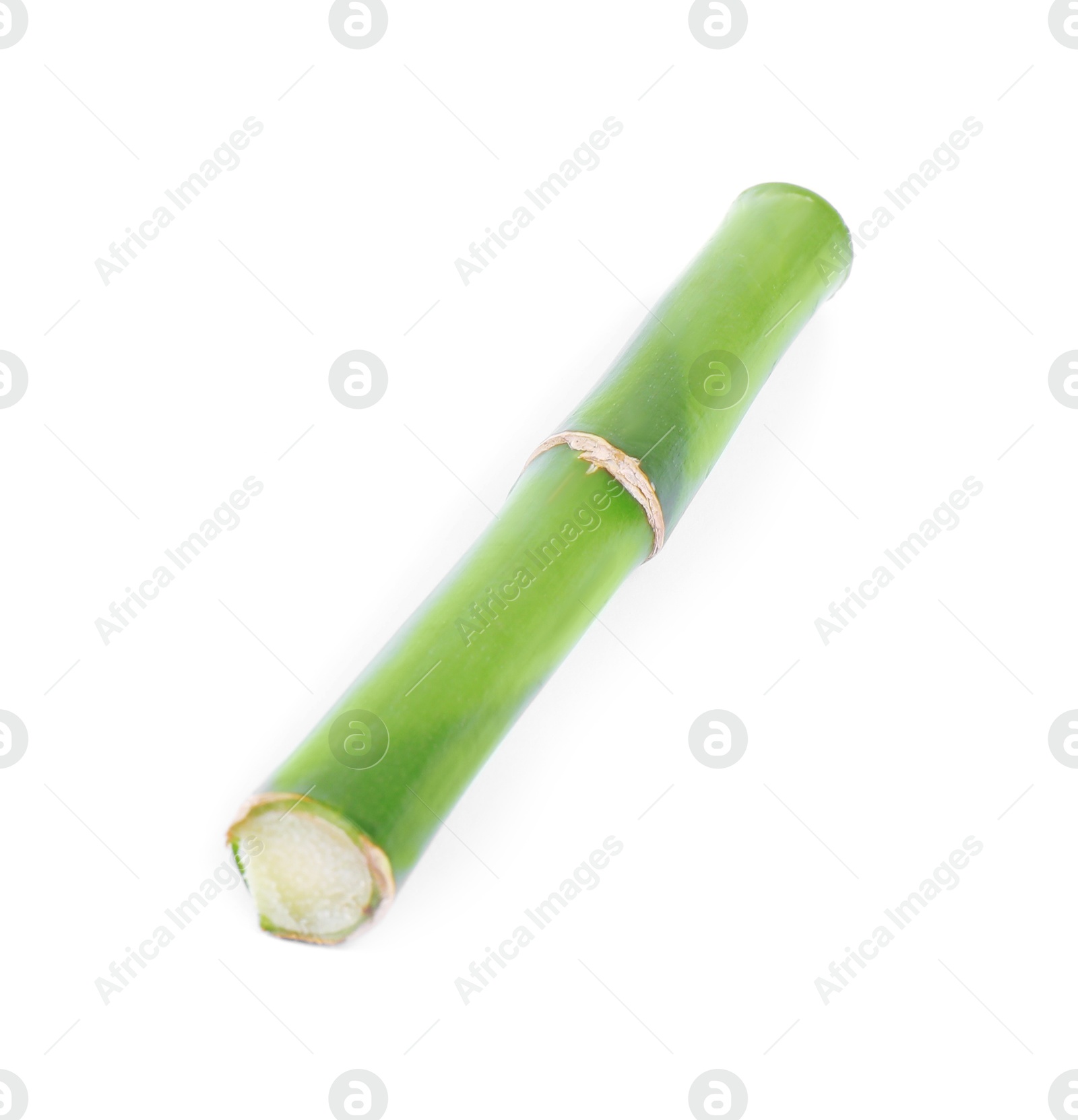 Photo of Piece of decorative bamboo plant isolated on white