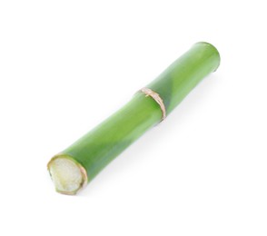 Piece of decorative bamboo plant isolated on white