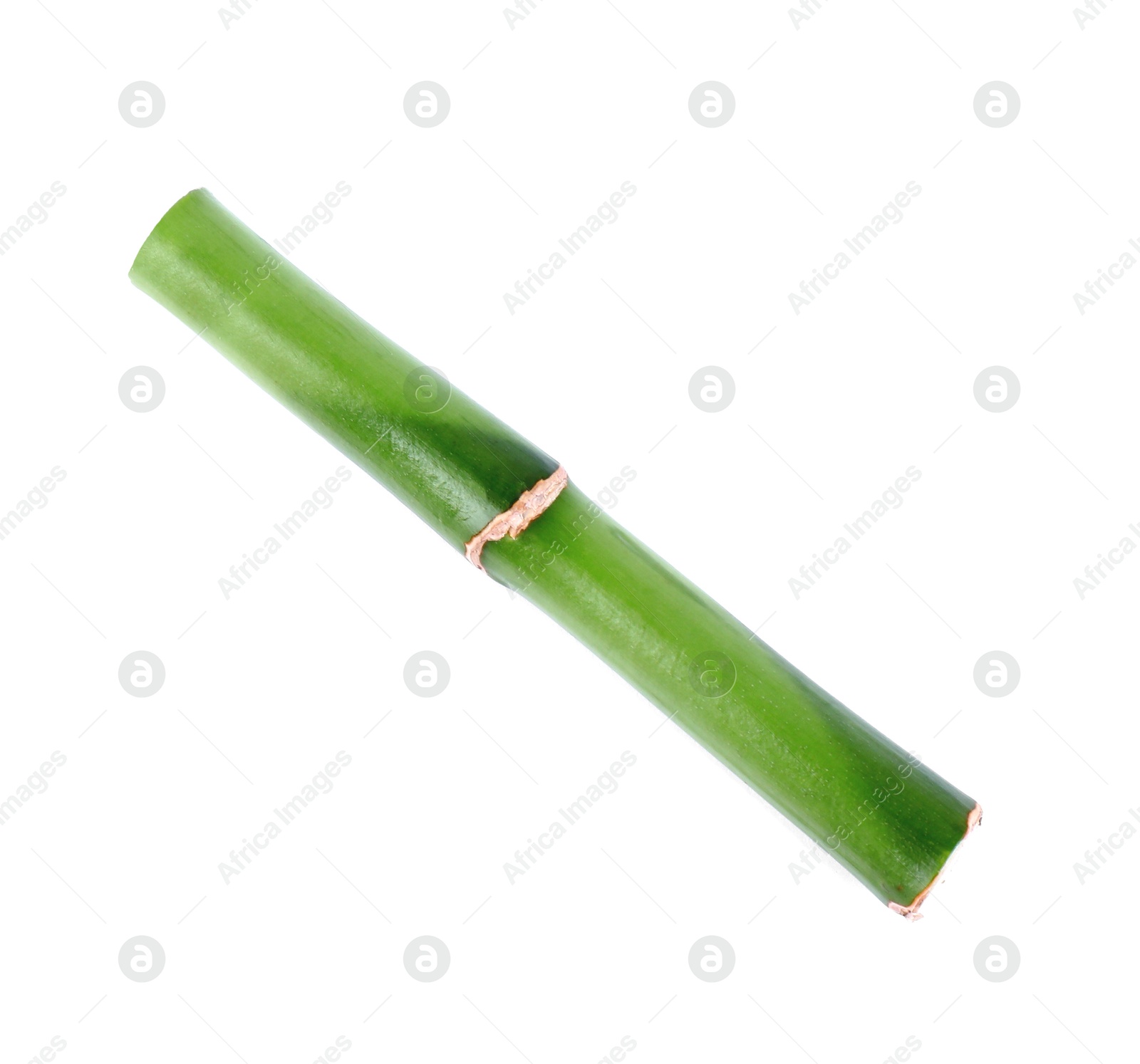 Photo of Piece of decorative bamboo plant isolated on white, top view