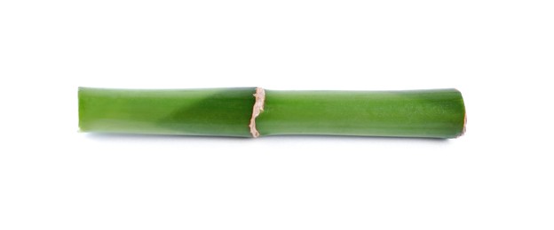 Photo of Piece of decorative bamboo plant isolated on white