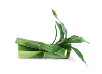 Pieces of decorative bamboo plant and green leaves isolated on white