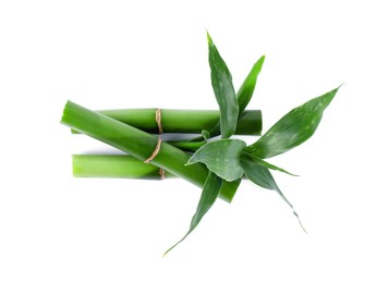 Pieces of decorative bamboo plant and green leaves isolated on white, top view