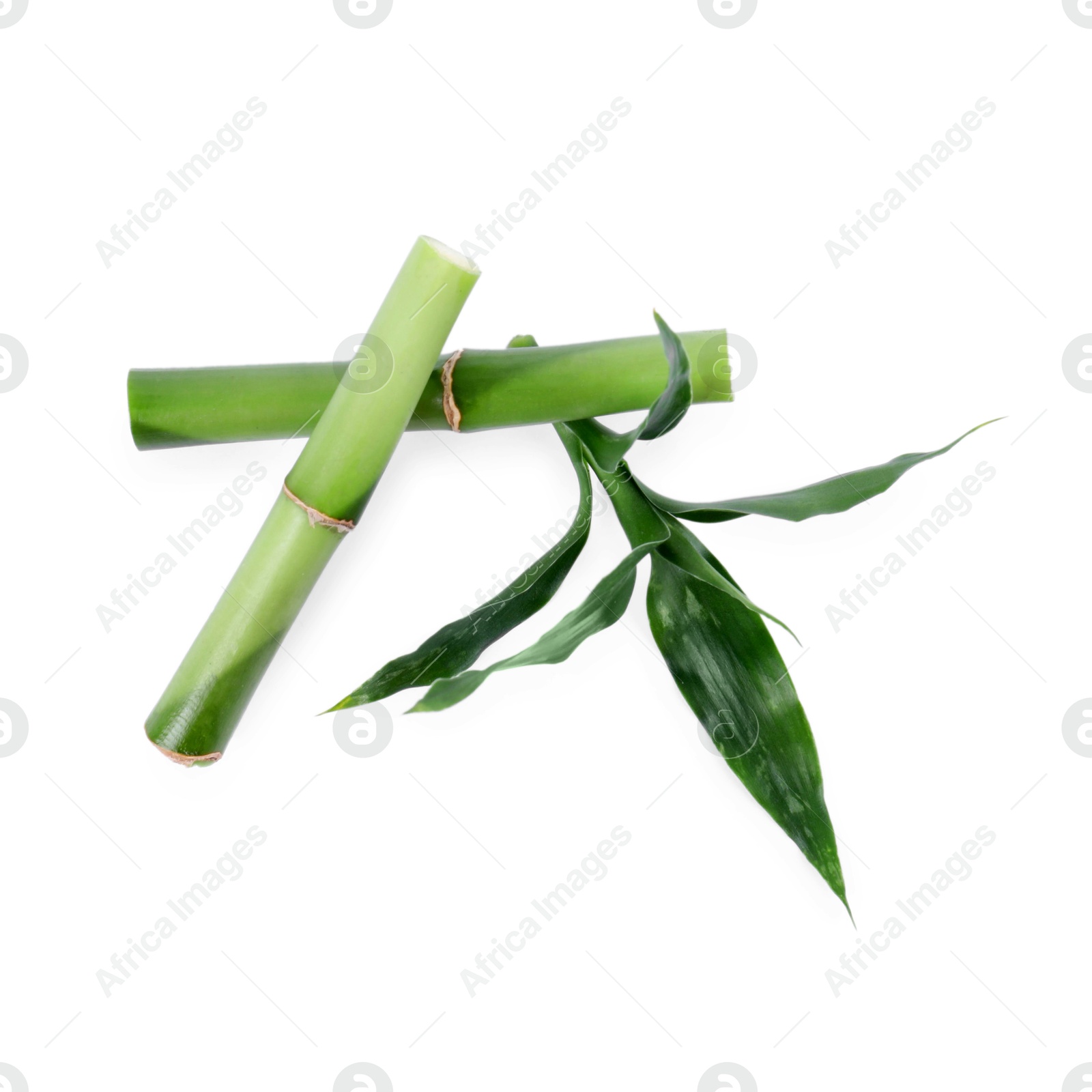 Photo of Pieces of decorative bamboo plant and green leaves isolated on white, top view