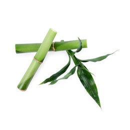 Photo of Pieces of decorative bamboo plant and green leaves isolated on white, top view