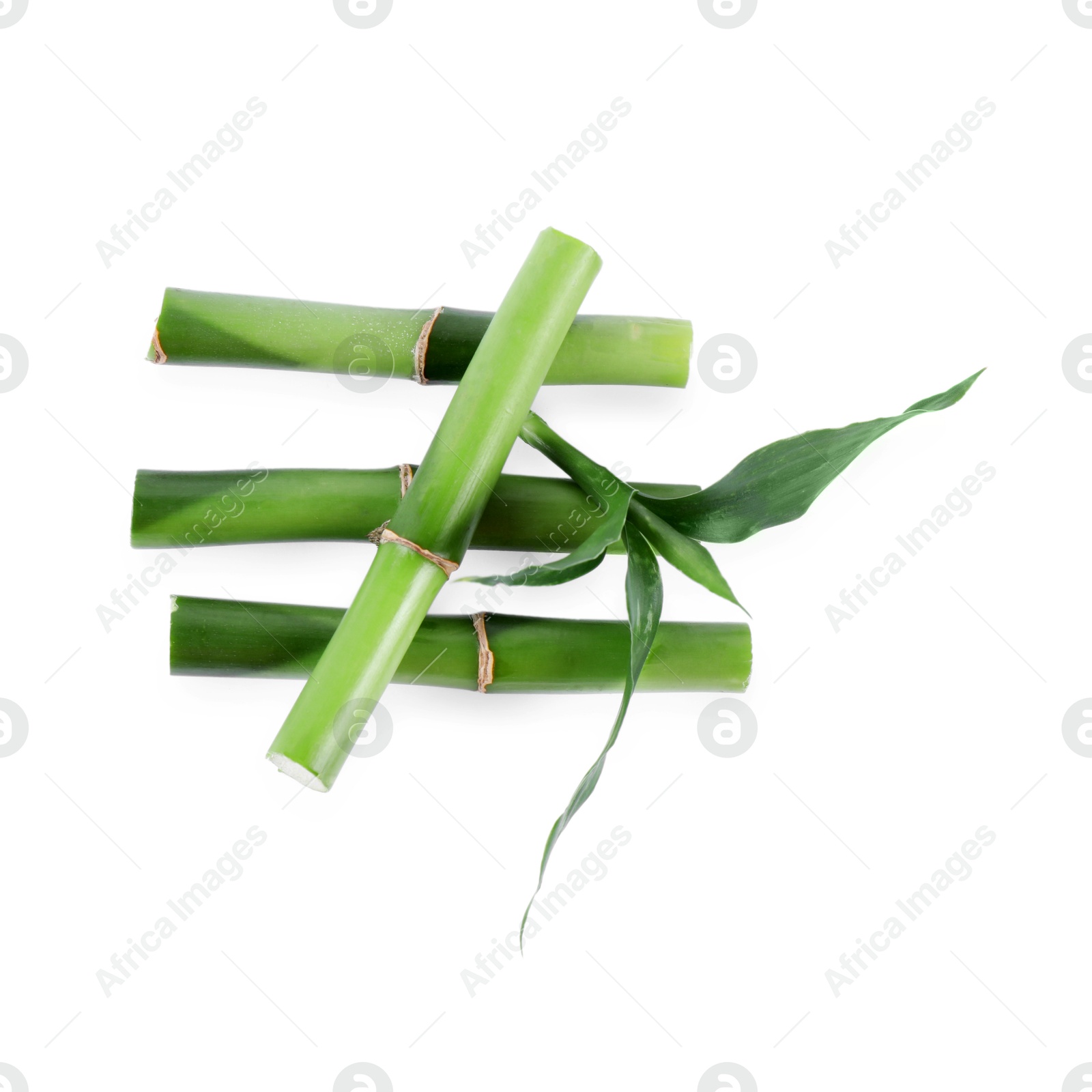 Photo of Pieces of decorative bamboo plant and green leaves isolated on white, top view