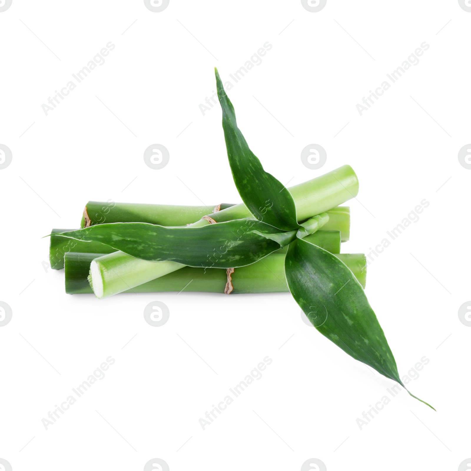 Photo of Pieces of decorative bamboo plant and green leaves isolated on white