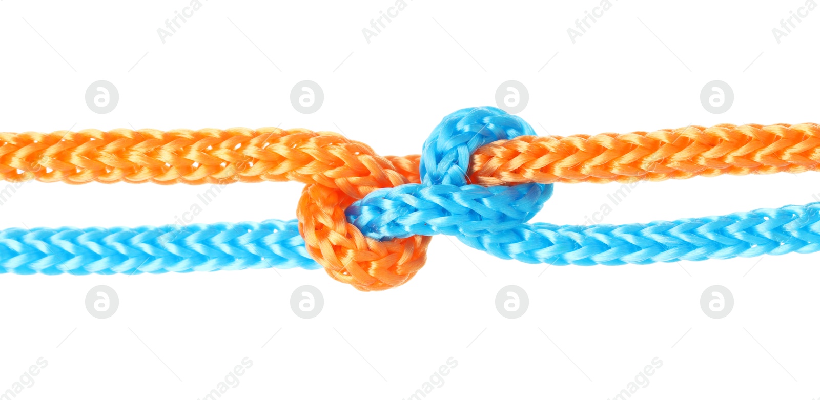 Photo of Colorful ropes tied in knot isolated on white. Unity concept