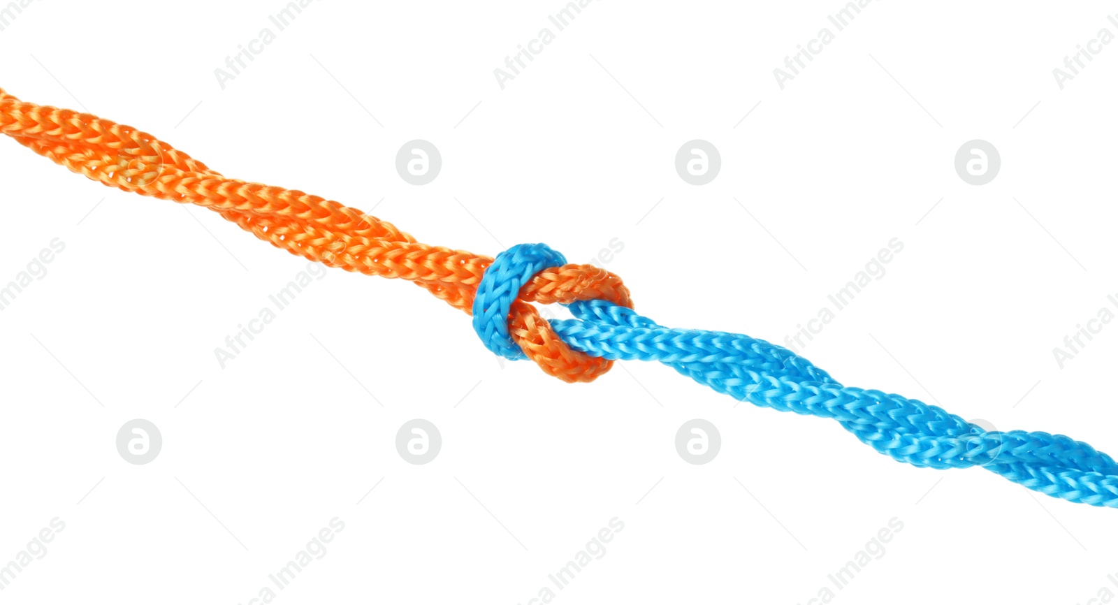 Photo of Colorful ropes tied in knot isolated on white. Unity concept