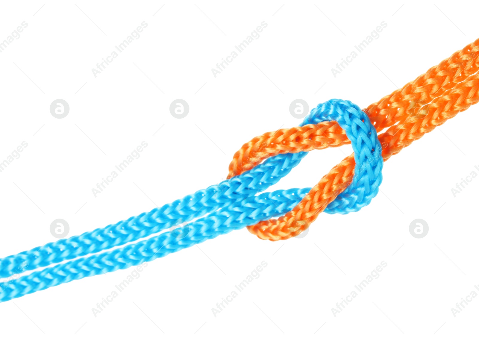 Photo of Colorful ropes tied in knot isolated on white. Unity concept