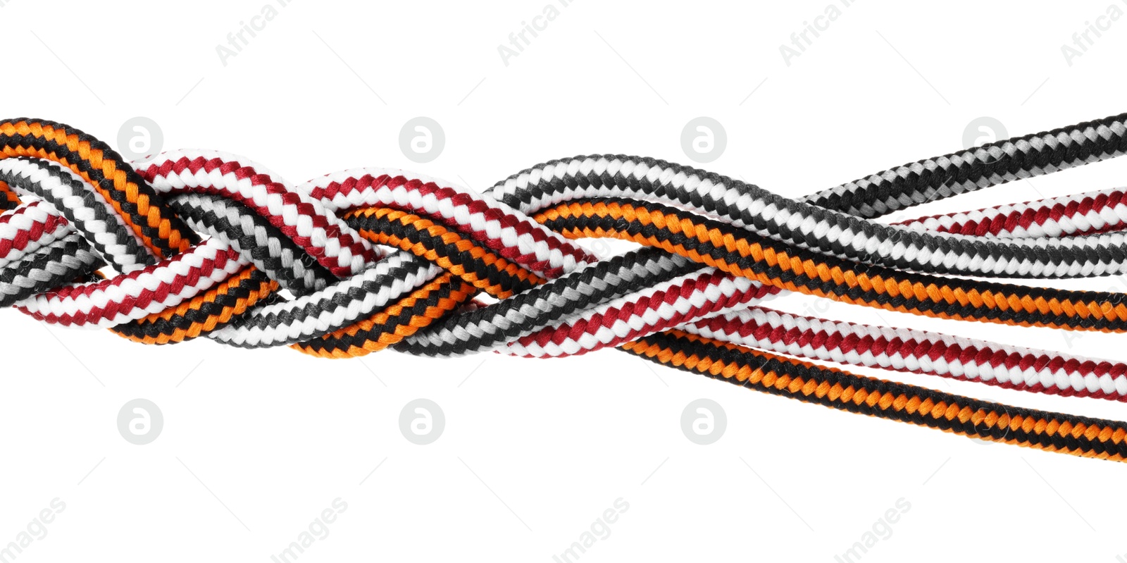 Photo of Colorful ropes tied together isolated on white. Unity concept