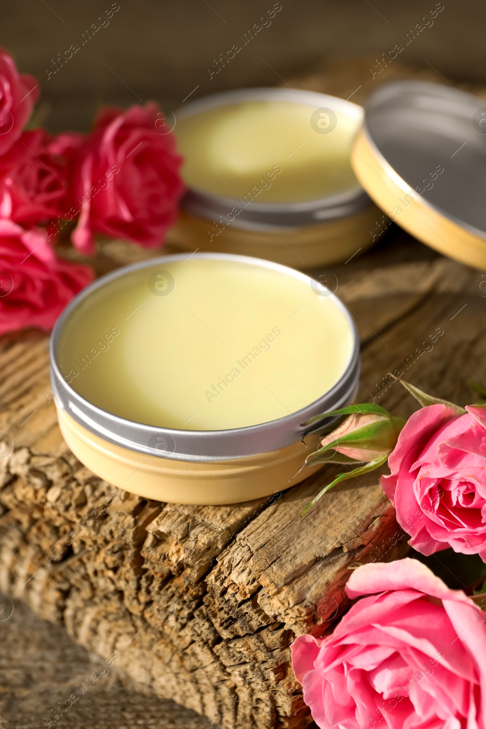 Photo of Natural solid perfume and pink roses on table, closeup