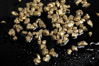 Photo of Gold nuggets on wet black surface, closeup