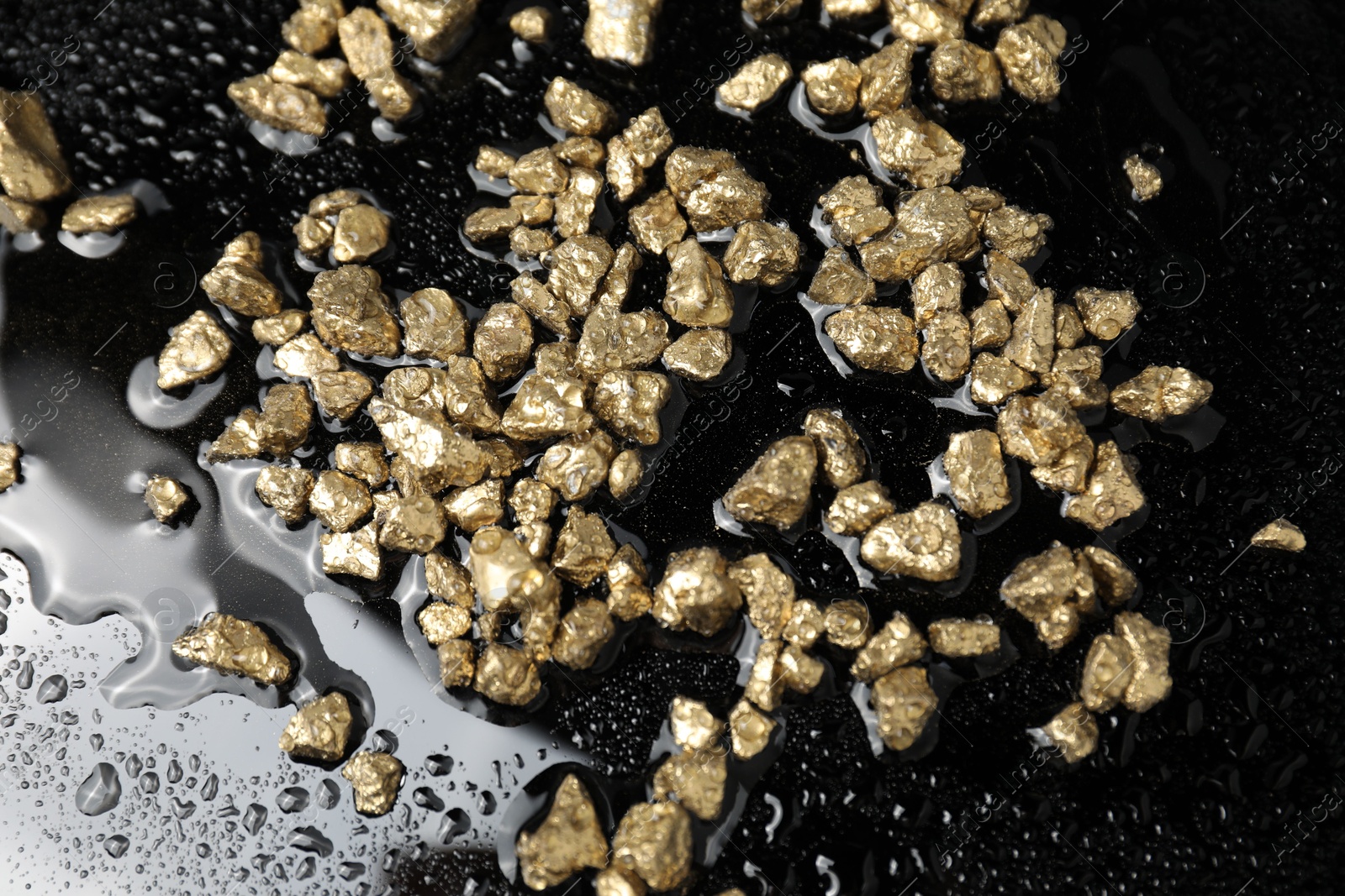 Photo of Gold nuggets on wet black surface, above view