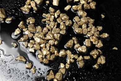 Photo of Gold nuggets on wet black surface, above view