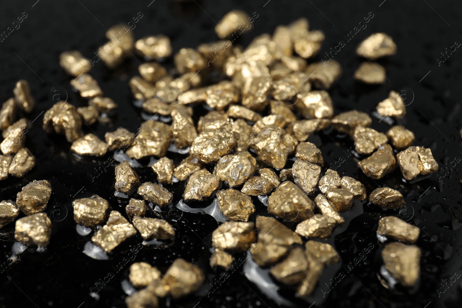 Photo of Gold nuggets on wet black surface, closeup