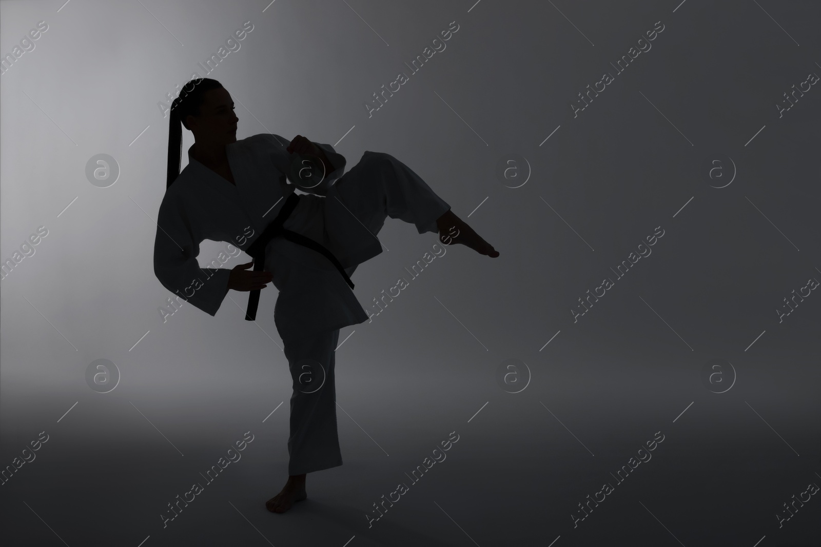 Photo of Silhouette of woman in kimono practicing karate on light background, space for text