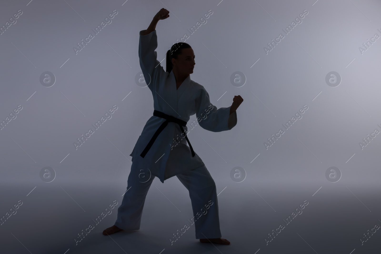 Photo of Silhouette of woman in kimono practicing karate on light background, space for text