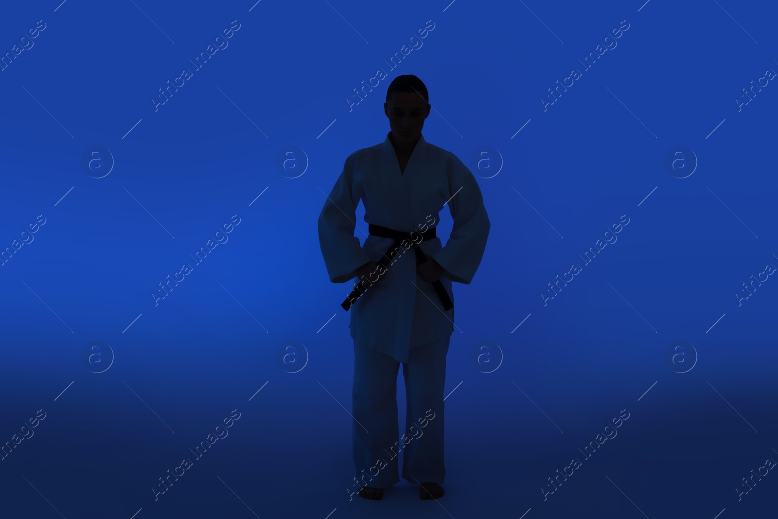 Photo of Silhouette of karate fighter in kimono on dark blue background