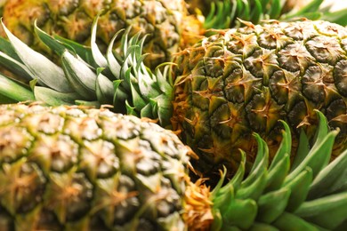 Fresh ripe pineapples as background, closeup view