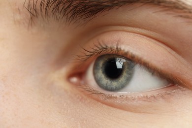 Photo of Macro view of young woman with beautiful blue eyes