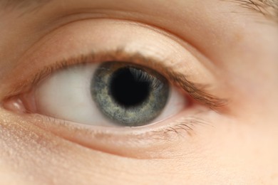 Photo of Macro view of young woman with beautiful blue eyes