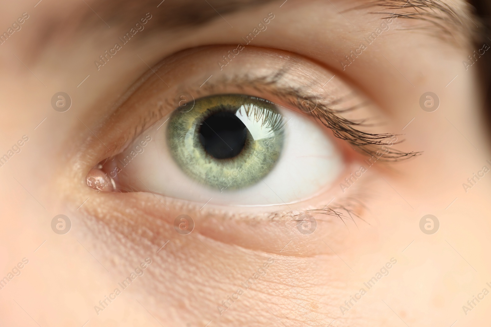 Photo of Macro view of young woman with beautiful blue eyes